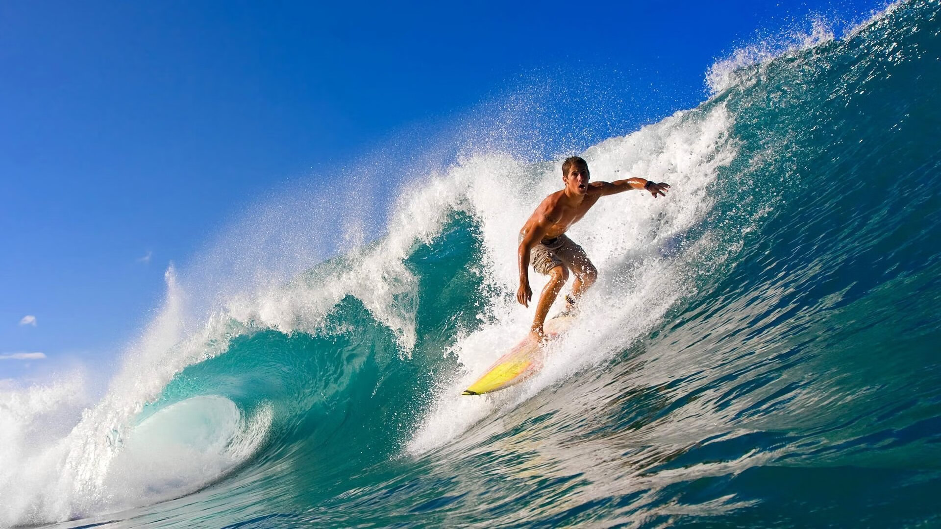 开云电竞登录入口-比利时举重队员表示：“我们将继续努力，为下届奥运会做好准备”